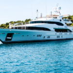 This Is a Giant Shipworm. You May Wish It Had Stayed In Its Tube.