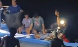 Warga Diterkam Buaya di Sungai Mandar