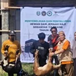Jemaah Haji Asal Mateng Tunaikan Kurban Dam, Pertama di Sulbar Diikuti 113 Jemaah