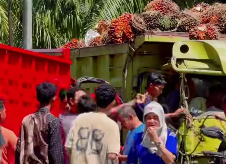 Dua Truk Bermuatan Sawit Tabrakan di Kilometer 10 Mamuju Tengah, Sopir Terjepit