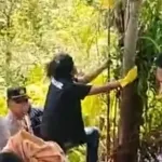 Perempuan Pegawai Kemenag Mamuju Ditemukan Meninggal Tergantung di Pohon