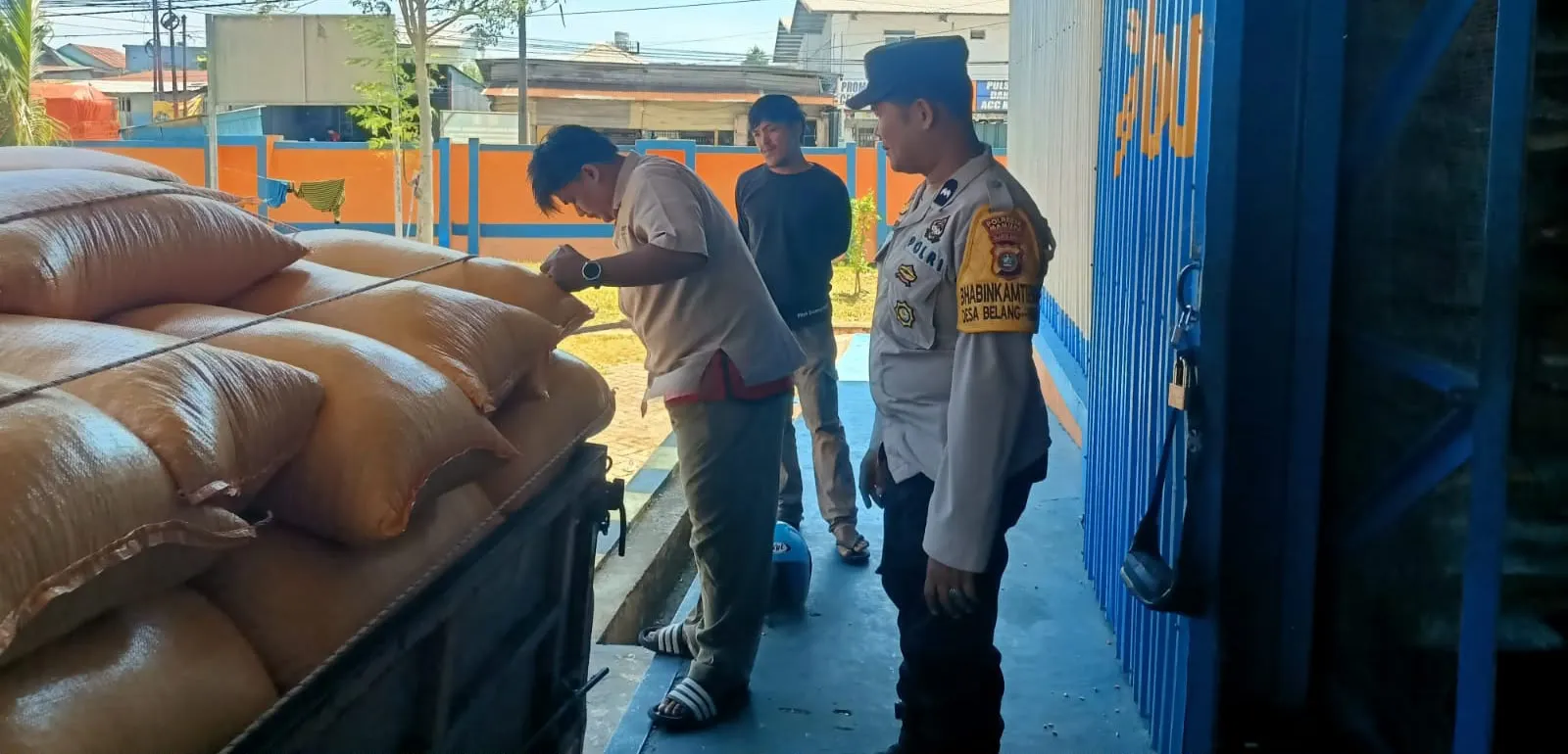 Panen Tembus Target, Polresta Mamuju Sukses Lampaui Kuota Pengiriman Jagung ke Bulog
