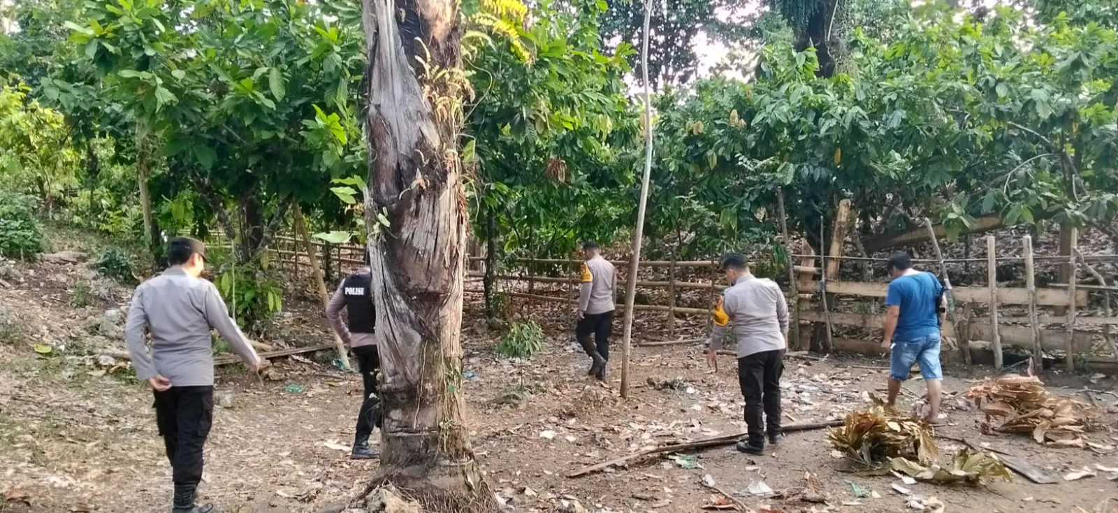 Polisi Bubarkan Judi Sabung Ayam, Pelaku Lari Terbirit-birit