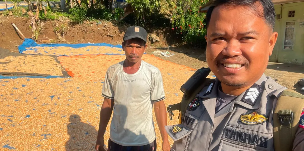 Dekat dengan Petani, Bhabinkamtibmas Sambangi Warga di Tengah Aktivitas Panen Jagung