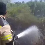 Api Lahap Lahan dan Tumpukan Sampah di Kalukku, Damkar Mamuju Berjibaku 3 Jam