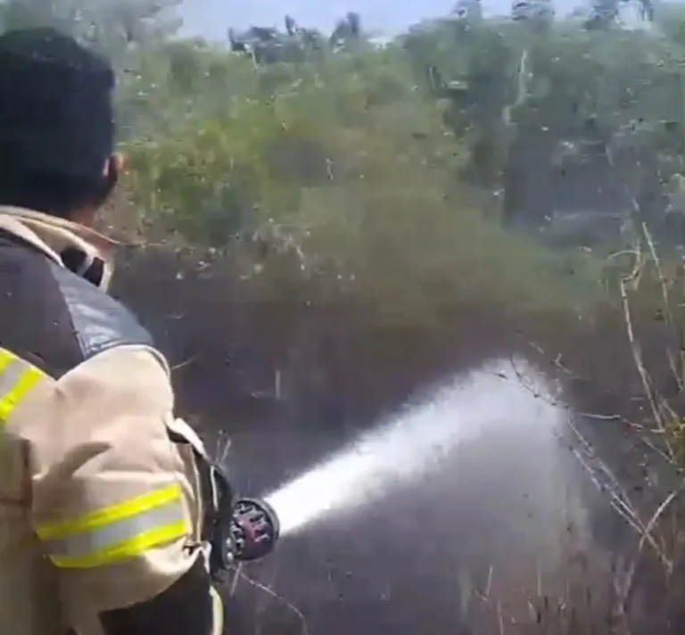 Api Lahap Lahan dan Tumpukan Sampah di Kalukku, Damkar Mamuju Berjibaku 3 Jam
