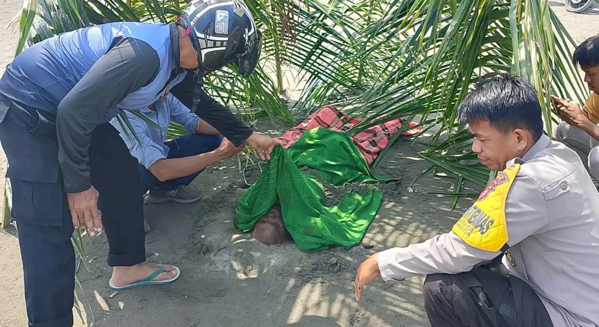 Polsek Sampaga Polresta Mamuju Evakuasi Mayat Tanpa Identitas di Pantai Dato